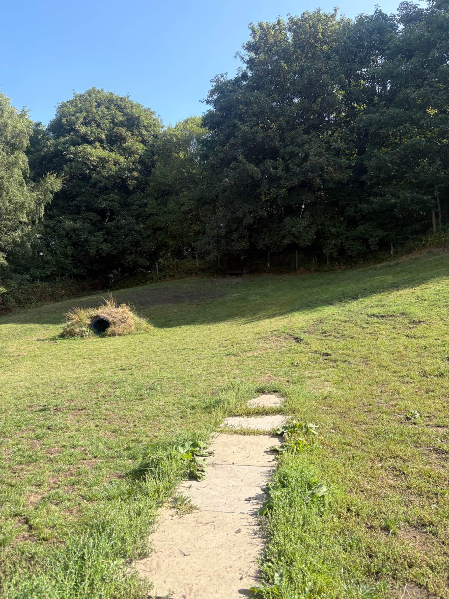The secure grass field at Rivelin Valley Dog Park